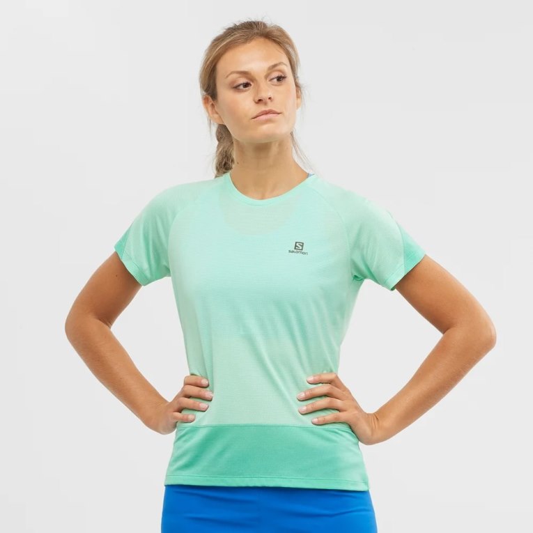 Camiseta Salomon Cross Run Corta Sleeve Mujer Turquesa | MX IMEH250